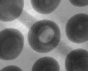 Figure 3: BGA ball void aggravated by gases escaping from via in pad.