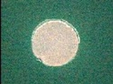 Image 4: Dowel plug installed and epoxied in place.