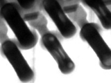 Figure 1: The lead and plated hole center-bottom has insufficient solder fill.